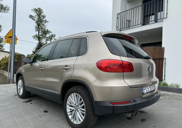 Volkswagen Tiguan cena 57900 przebieg: 172500, rok produkcji 2013 z Odolanów małe 37